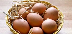 Huevos